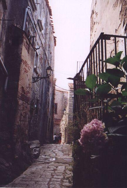 corse20