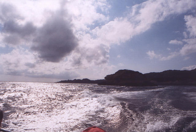 corse29