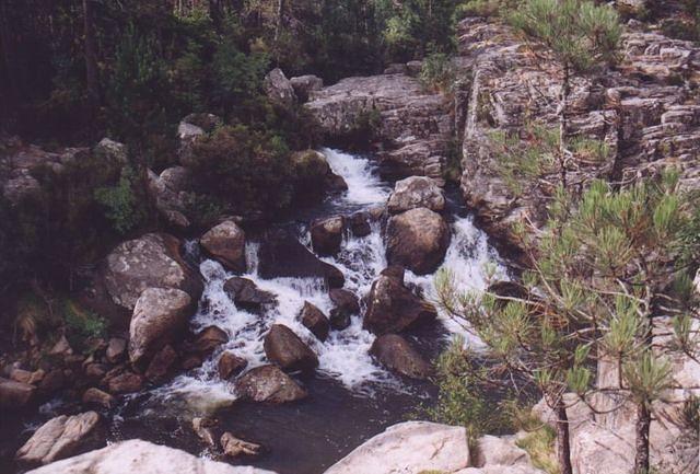corse36