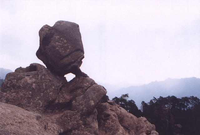 corse38
