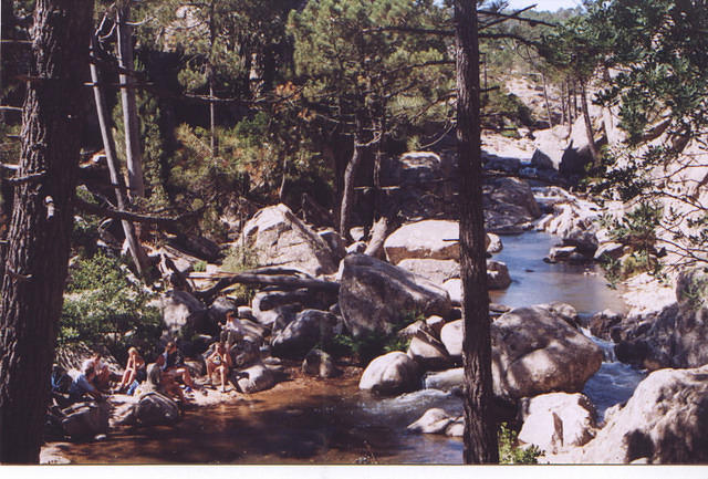 corse41