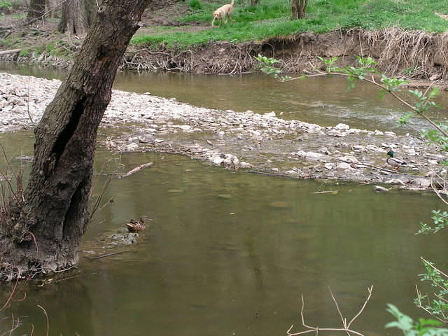 p4270075