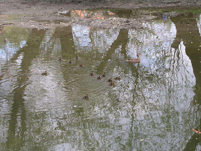 p4270096