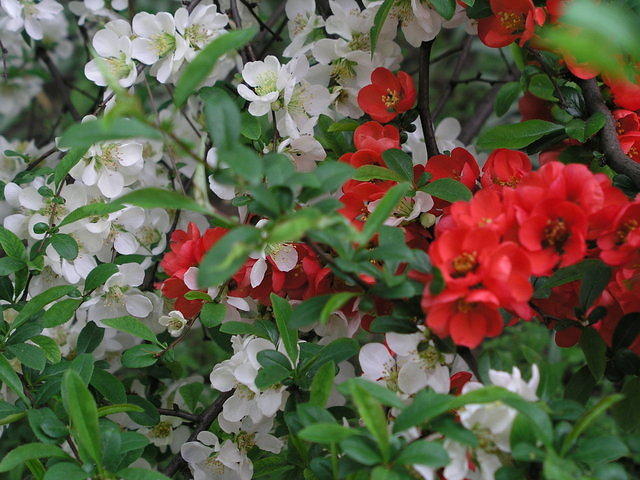 p4290160