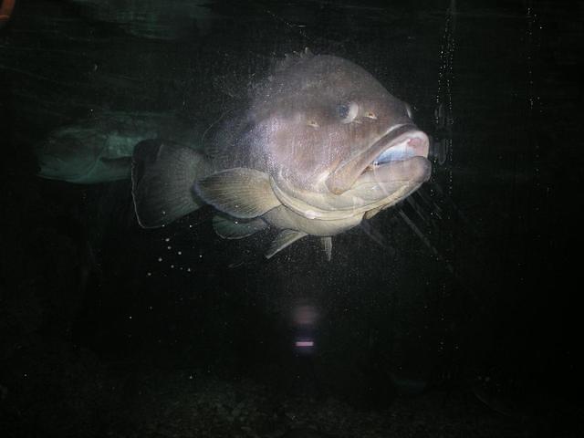 p6230661
