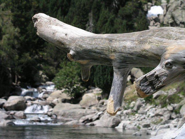 p8110964