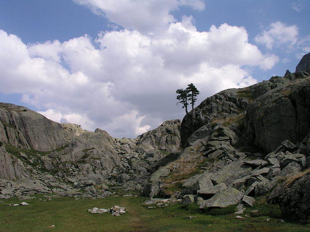 p8110971