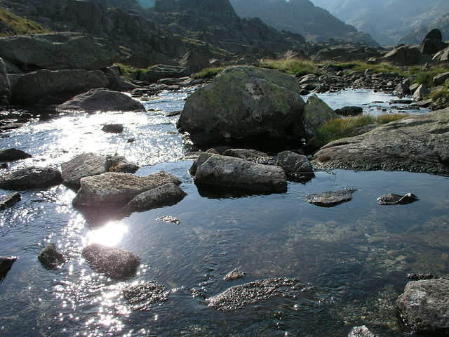 p8120974