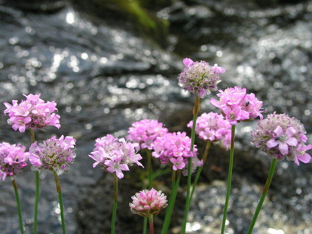 p8120985