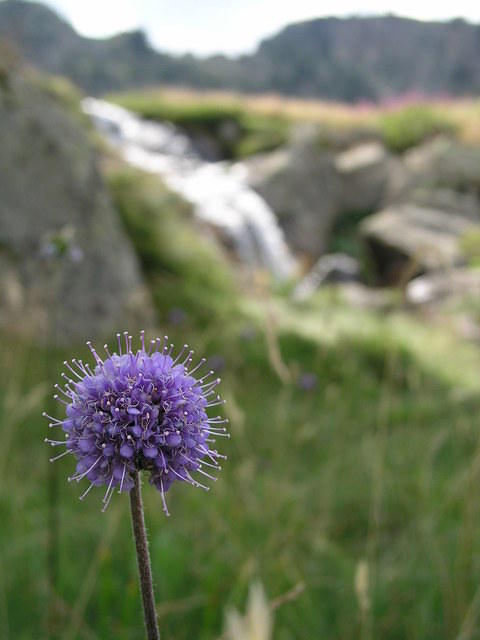 p8120991
