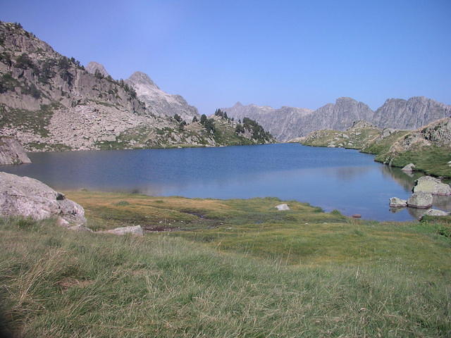 p8130998