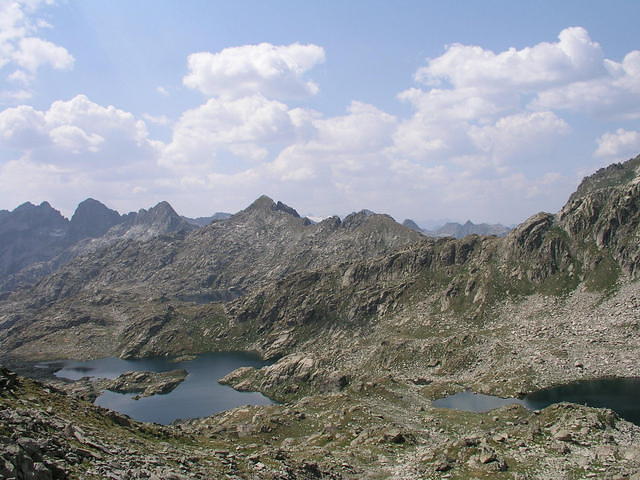 p8131011