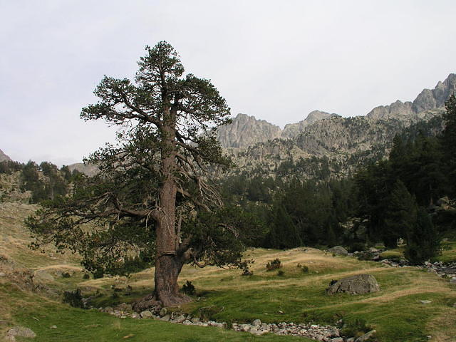 p8141025