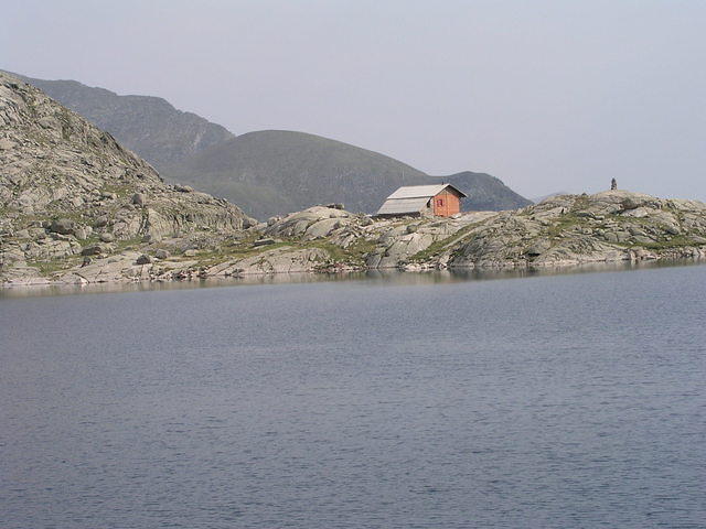p8151038