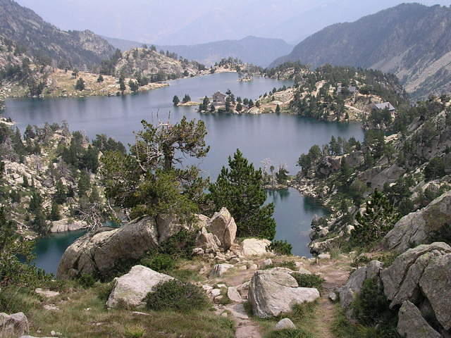 p8161055