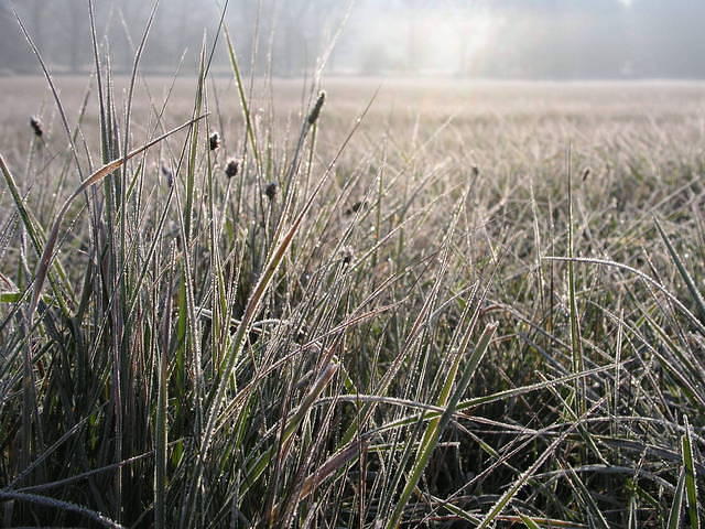 p1010090