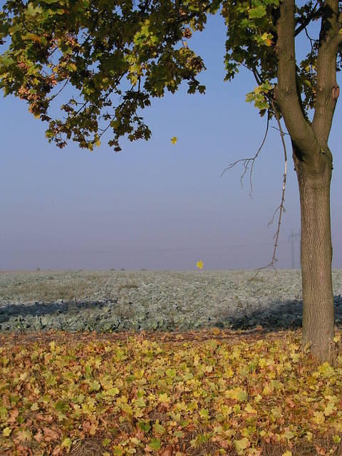 p1010091