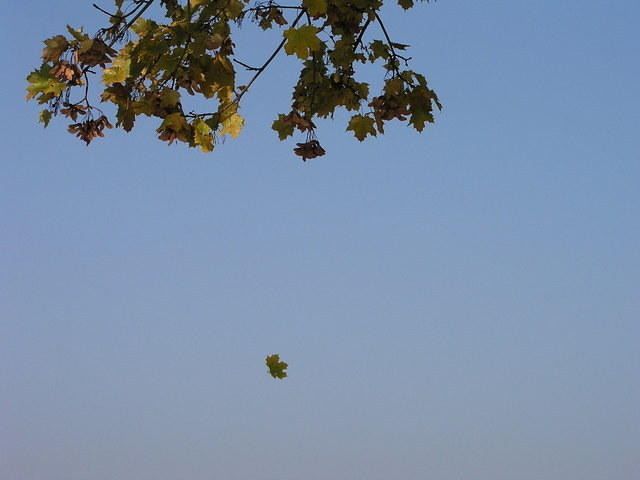 p1010092