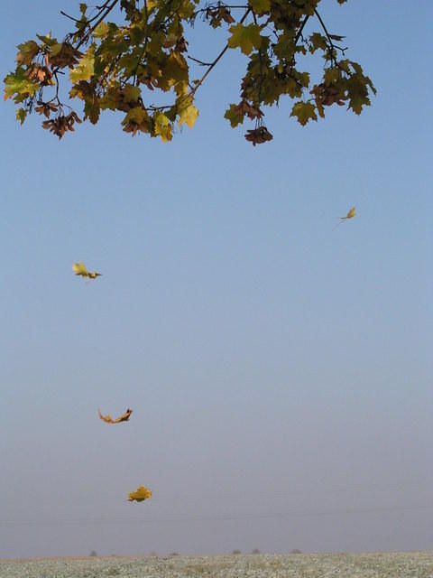 p1010094