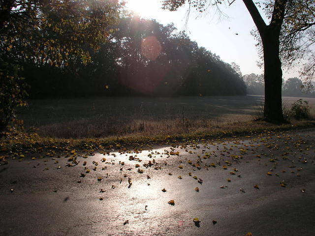 p1010098