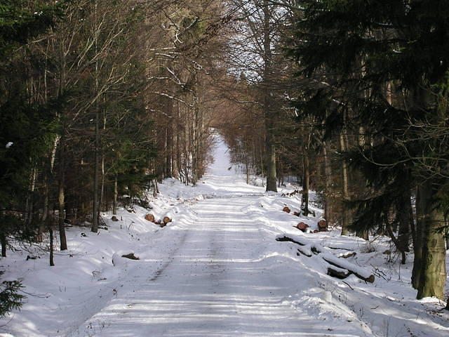 p1010396