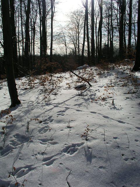 p1010405