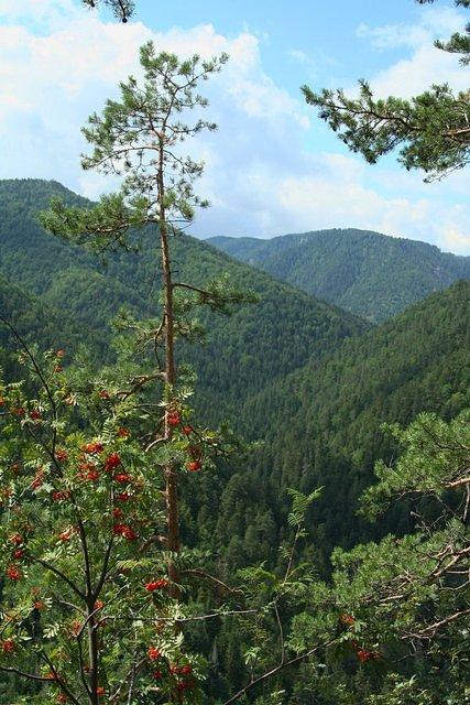 slovensko 009
