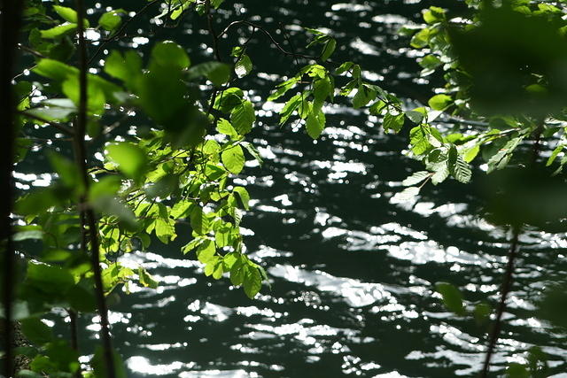 slovensko 098