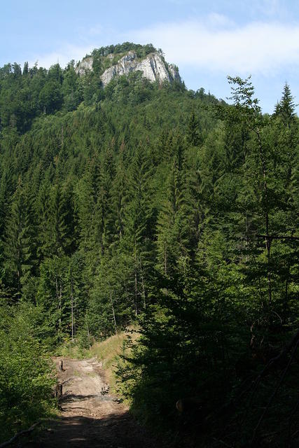 slovensko 126