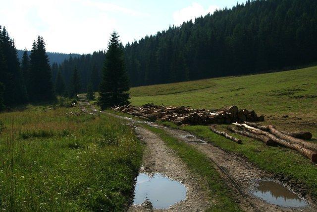 slovensko 316