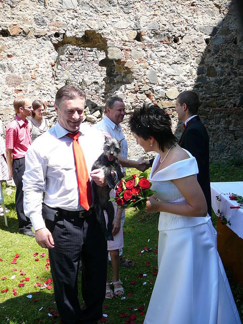 img_5061_h