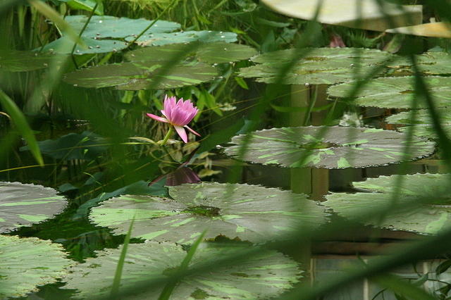 img_9044.jpg