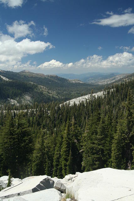 img_9118.jpg