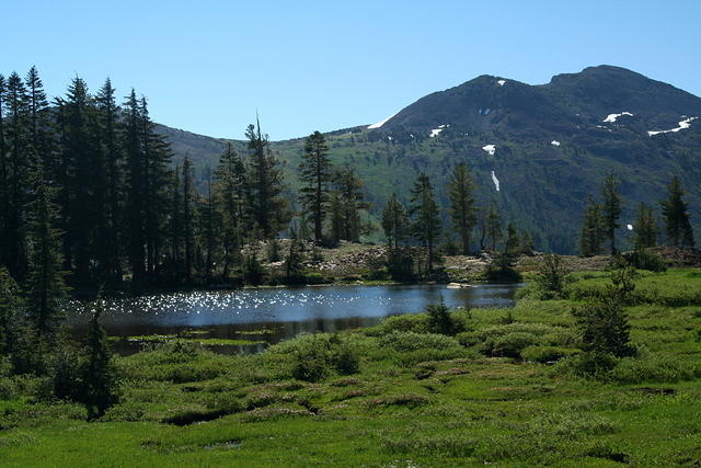 img_9158.jpg