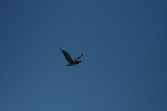 img_9362.jpg