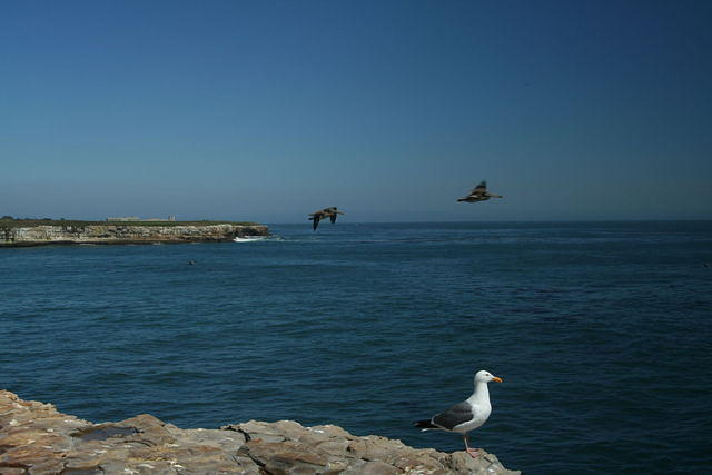 img_9372.jpg