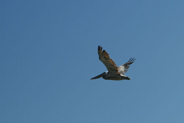 img_9434.jpg