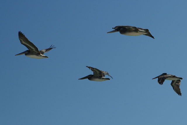 img_9435.jpg