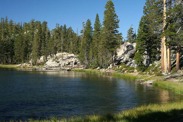 img_0374.jpg