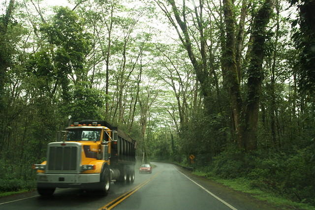 IMG_4775.JPG