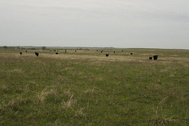 img_5656.jpg