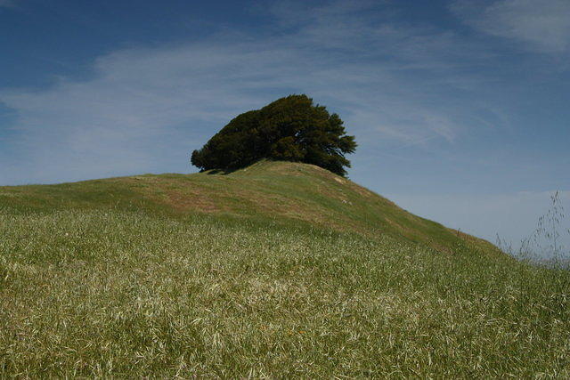 IMG_5980.JPG