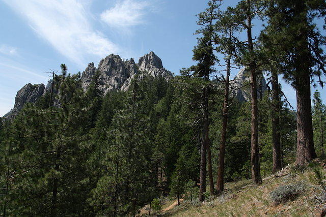 IMG_6383.JPG