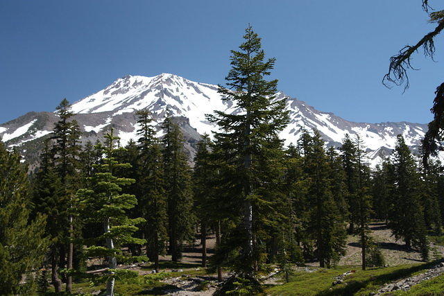 IMG_6459.JPG