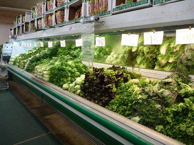 P1000145.JPG