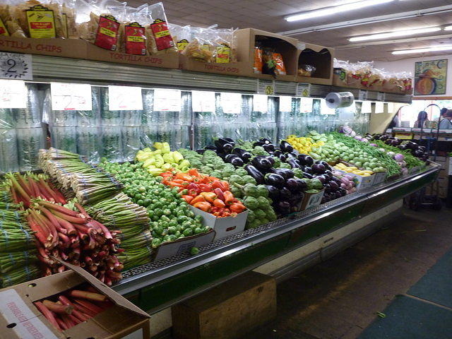 P1000146.JPG