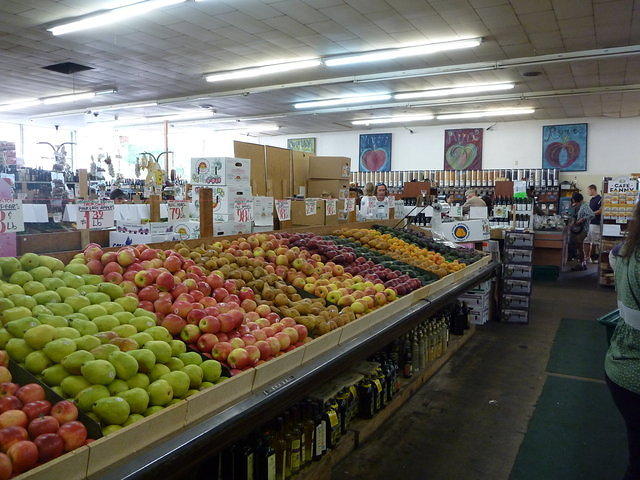 P1000151.JPG