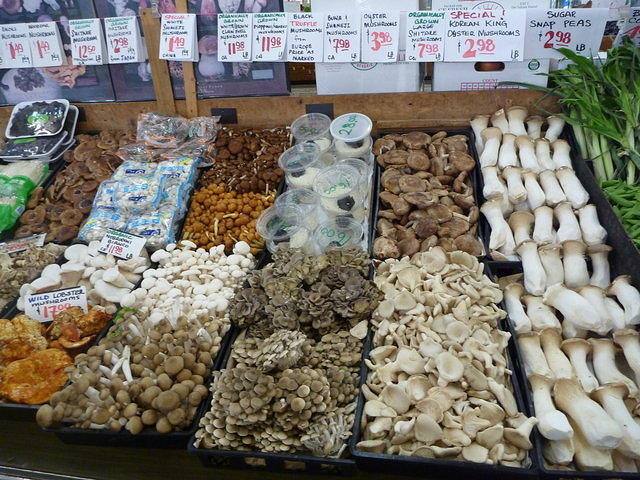 P1000156.JPG