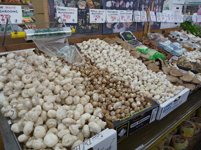 P1000157.JPG
