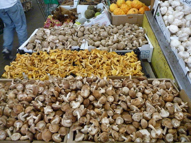 P1000158.JPG